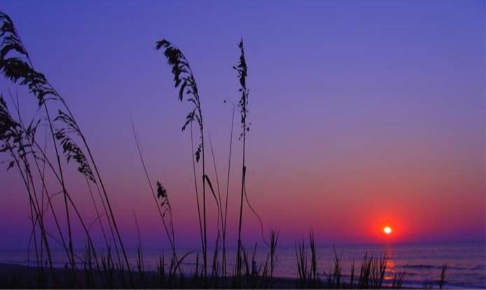 Lee'S Myrtle Beach Condo Eksteriør bilde